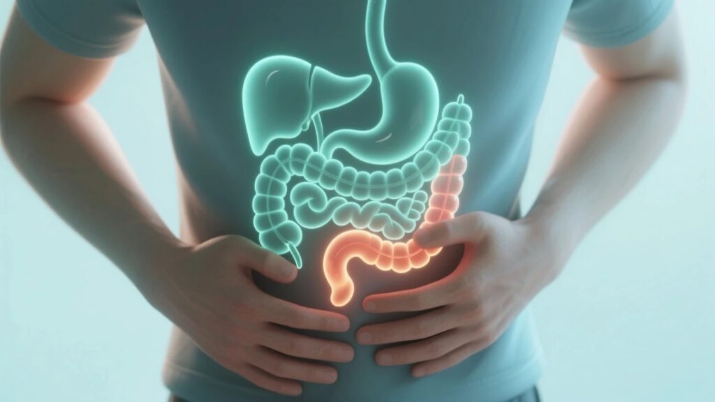 Warning Signs Your Gut Is Unhealthy . Illustration of a person holding their stomach with visible digestive tract – signs of gut imbalance – AI-generated